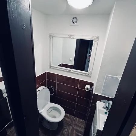 Apartman Sosna
